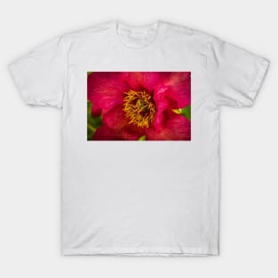 Blooming Red! T-Shirt